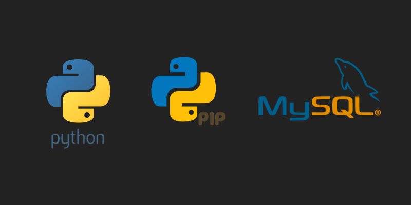 Setting Up a Python Project for CRUD Operations with MySQL